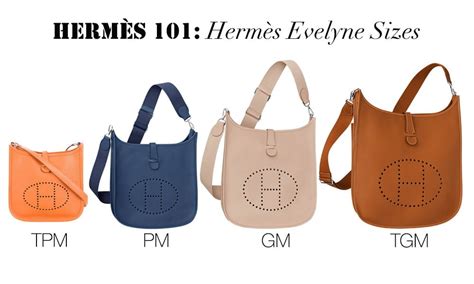 hermes clemence bag sizes|authentic Hermes evelyne bag.